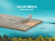 七大优势，高端环保地板就选大王椰