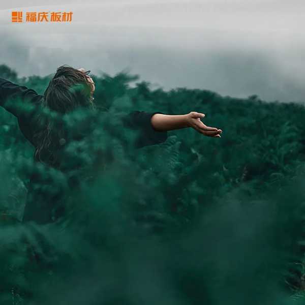 板材网