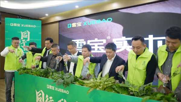板材网