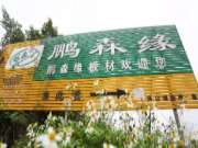 在木材加工领域中，柳城有一匹“黑马”冲向全国，你懂没？