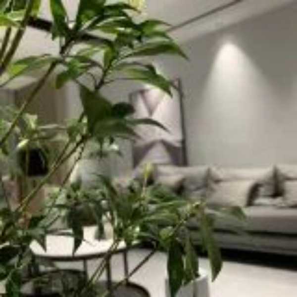 板材网