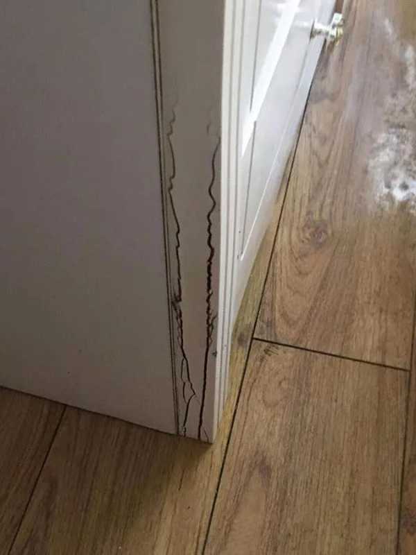 板材网