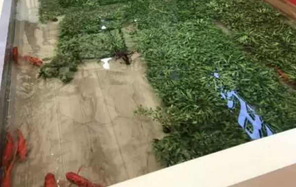 板材网