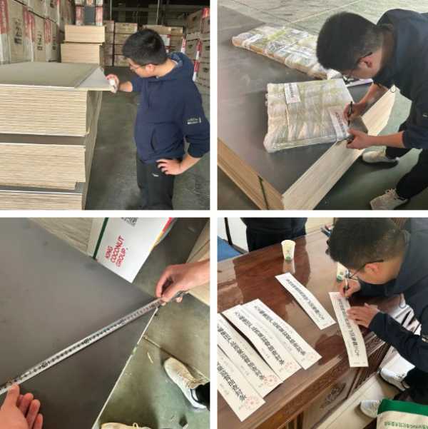 保质保量，提升交付丨大王椰二季度供应保障之行-山东站
