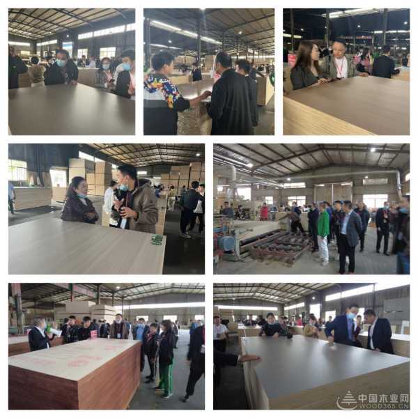 探索品牌新知！金利源经销商婺源研学之旅圆满举行！