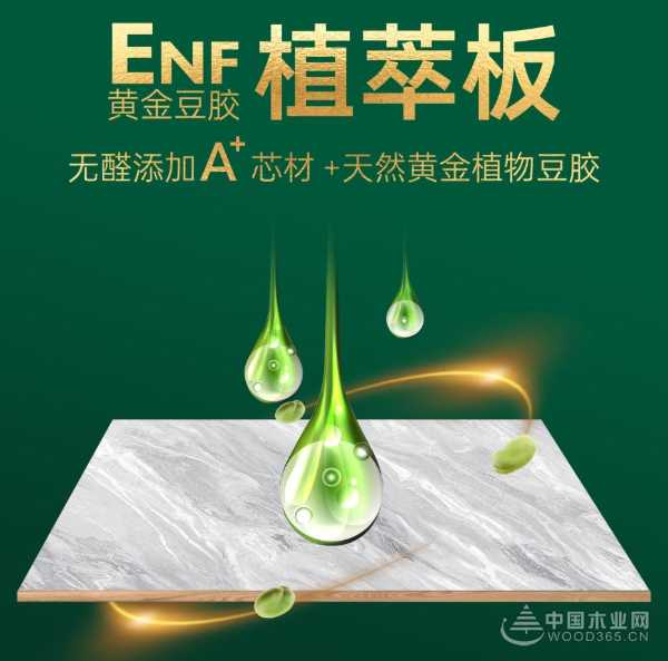 探索品牌新知！金利源经销商婺源研学之旅圆满举行！