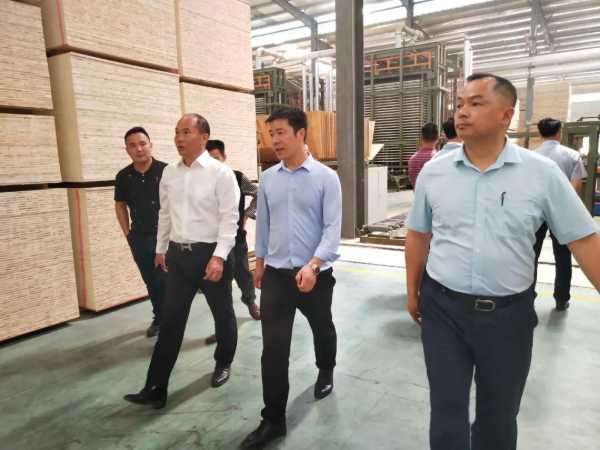 【关注】市工信局领导莅临我司考察调研