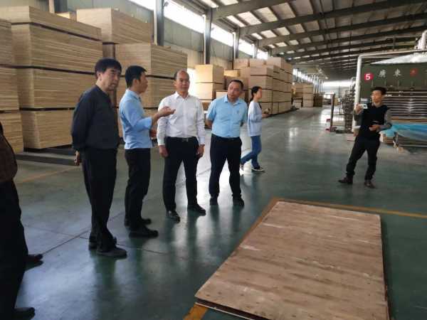 【关注】市工信局领导莅临我司考察调研