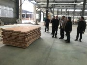 【正能量】融安县委书记陈文敏一行莅临三友木业调研指导