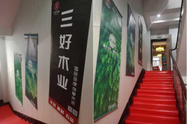 贺三好宝宝板专业人士联谊会（咸宁站）圆满成功