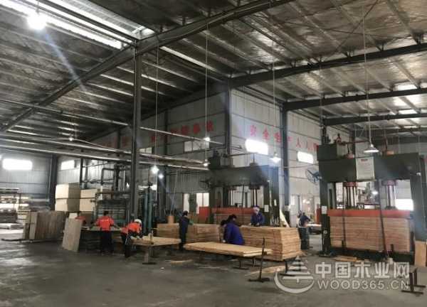 十年砥砺 名兔板材未来蓬勃可期