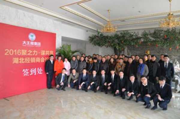 一带一路，大王椰加码华中市场崛起