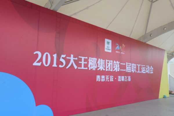 青春无敌·激情飞扬——2015大王椰集团第二届职工运动会
