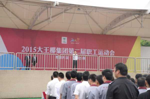 青春无敌·激情飞扬——2015大王椰集团第二届职工运动会