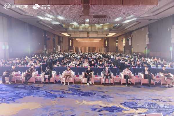 “鲁丽 D 造 材聚人和”2025 鲁丽・可可D板材联谊会圆满落幕