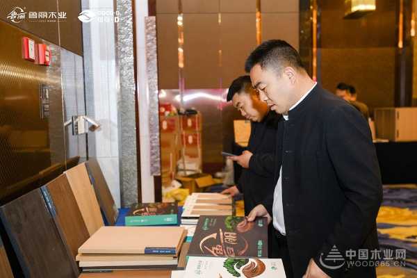 “鲁丽 D 造 材聚人和”2025 鲁丽・可可D板材联谊会圆满落幕