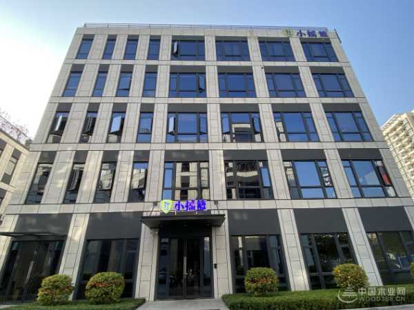 再度携手 小摇篮板材与中国木业网共谱合作新篇