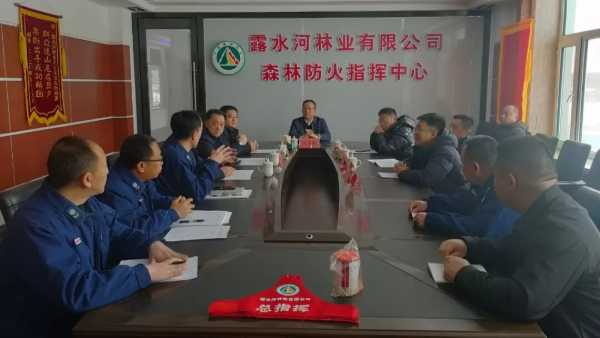 露水河公司领导到安全防火处调研指导春季森林防火工作