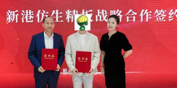 中国建博会（上海）圆满落幕，新港集团完美收官，精彩再燃！