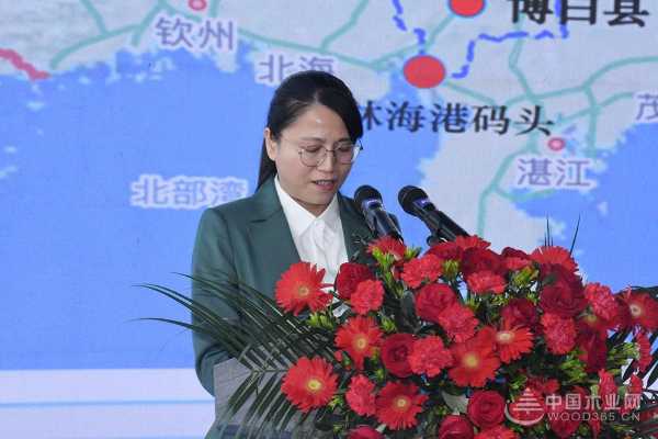 “逆势破卷 价值重塑”德科康2025客商交流 暨AI驱动家居新生态大会圆满举办