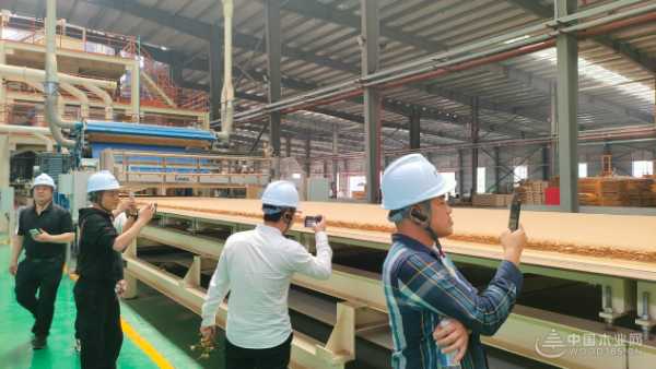 “逆势破卷 价值重塑”德科康2025客商交流 暨AI驱动家居新生态大会圆满举办