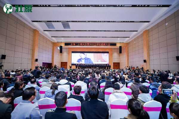 壮象2025全球经销商大会圆满收官：廿载淬炼铸品牌 齐心聚力谱新章！