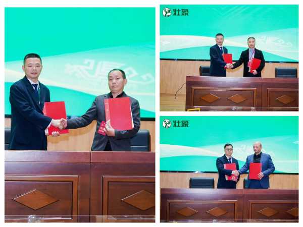 壮象2025全球经销商大会圆满收官：廿载淬炼铸品牌 齐心聚力谱新章！