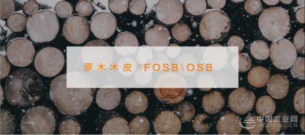 定制板材新势力 非常面子即将盛装亮相2025广州家博会