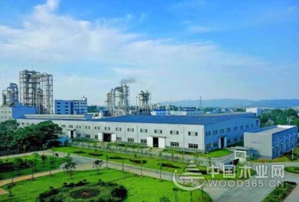 江西绿洲：企业文化赋能，开启木业新征程