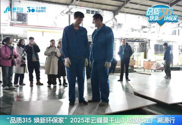品质315 焕新环保家｜莫干山抗菌抗病毒生态板，以科技守护健康，用品质定义未来