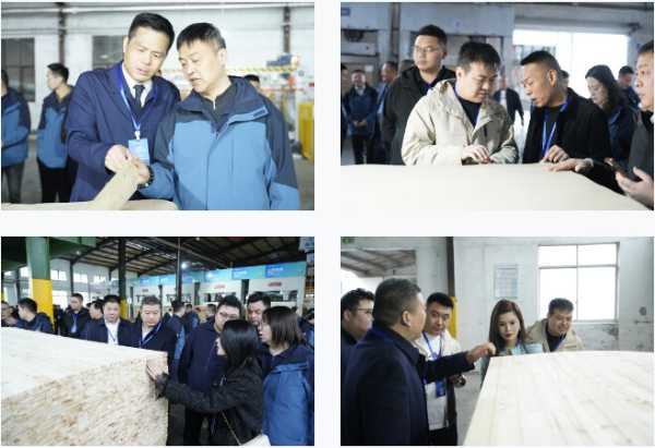 三十而励 质领未来｜2025莫干山板材第三届全国质量月行动圆满举办！