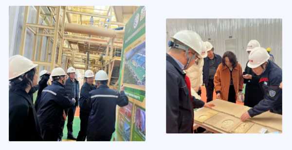 群策群力 赋能产业——财金集团领导视察产业园，助推高质量发展