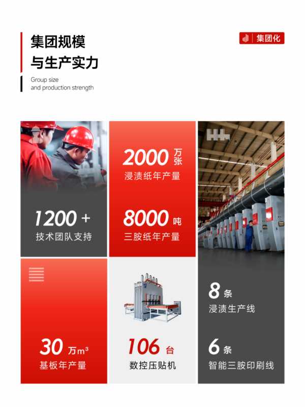 品质315：全产业链深耕二十载 杰家板材以 