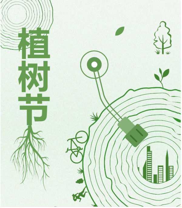 植此青绿正当时，绿色发展向未来：丰林集团二十六年造林实践之路