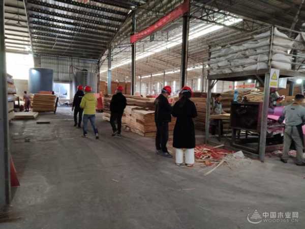 夯筑安全防线 广西伟新木业投资集团开展复工复产安全检查