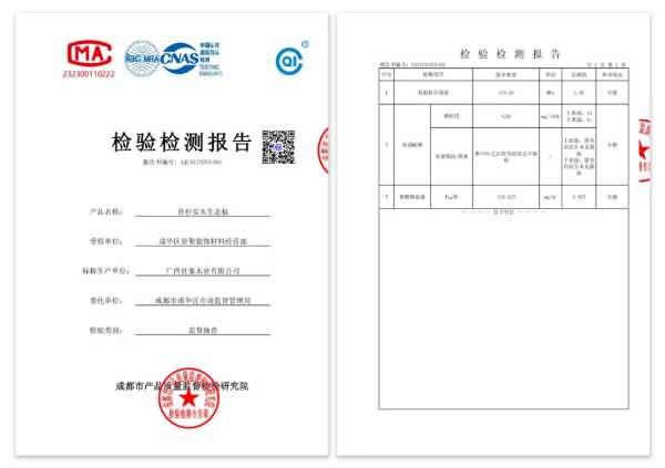 《哪吒2》观影新发现：非遗文化传承者壮象的匠心之旅！