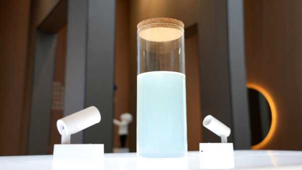 择高而立，向新而行丨高质量发展的“新港答卷”