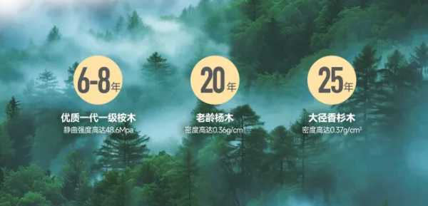 装修怕甲醛？雪宝ENF级儿童健康板，全房即装即住，放心更安心！