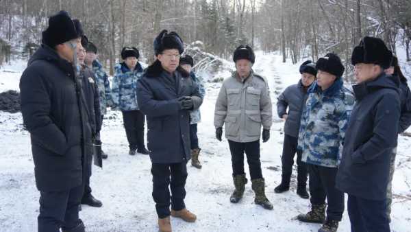 公司领导深入森林可持续经营试点现场督导检查工作