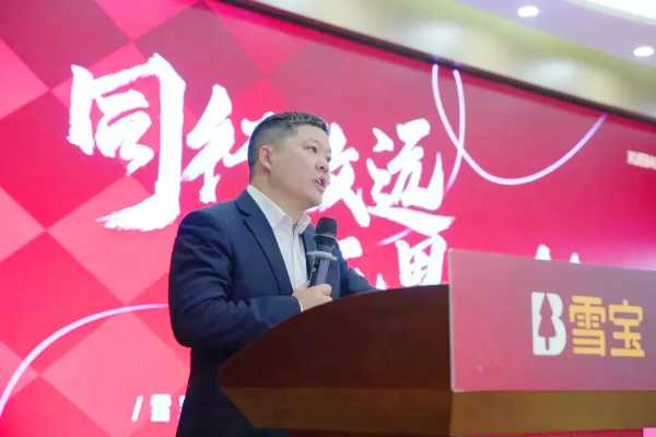 同行致远，无畏征程——雪宝家居集团年终庆典暨2024年度总结表彰大会精彩纷呈