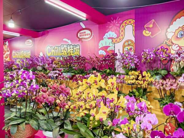 桃花村生态板亮相南海花市，共添新春生活色彩