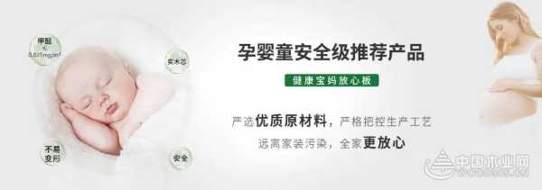 同频共振 荣耀共筑-智阁板材2024年度优秀经销商评选活动圆满结束