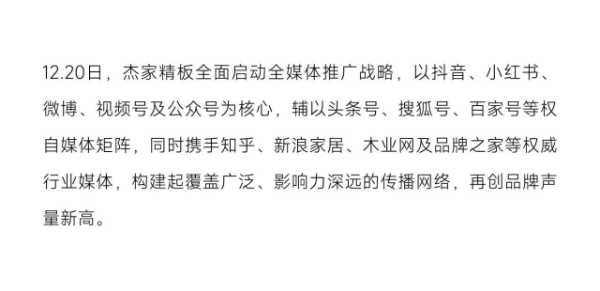 年终回顾 | 杰家精板：荣耀见证2024，梦想启航2025