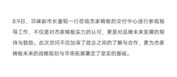 年终回顾 | 杰家精板：荣耀见证2024，梦想启航2025