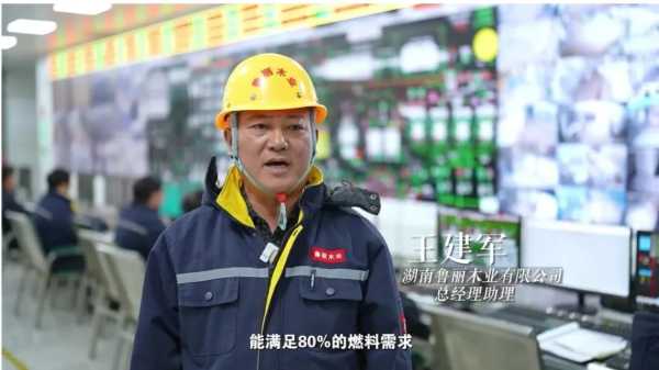 《“新”欣向荣——聚焦永州新质生产力》：从一棵树到一个家 看鲁丽木业如何追“绿”