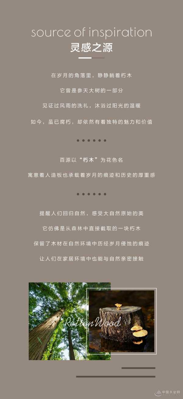 百源新品花色｜木卓系列 朽木纹理，演绎自然新韵