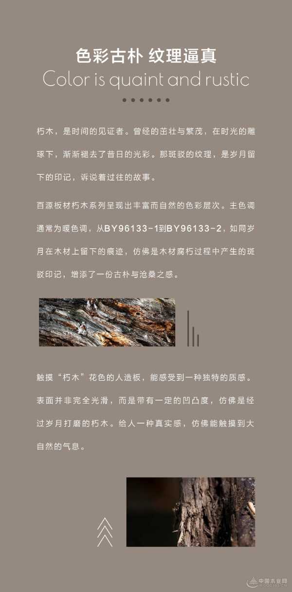 百源新品花色｜木卓系列 朽木纹理，演绎自然新韵