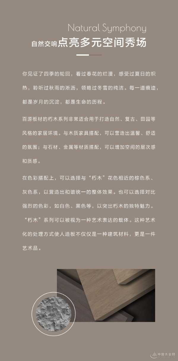 百源新品花色｜木卓系列 朽木纹理，演绎自然新韵