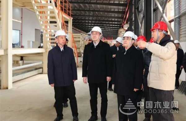 贵州省委书记、省人大常委会主任徐麟莅临贵州桔瑞森参观考察
