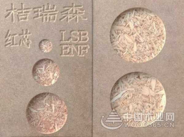 贵州省委书记、省人大常委会主任徐麟莅临贵州桔瑞森参观考察